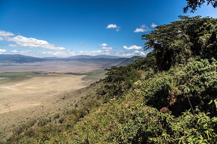 TZA ARU Ngorongoro 2016DEC23 022